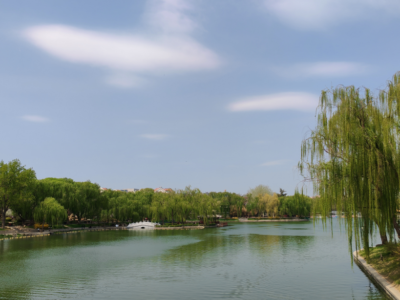 踐行“兩山”理念?共繪生態文明新畫卷